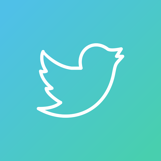 Twitter Marketing | Twitter Advertising